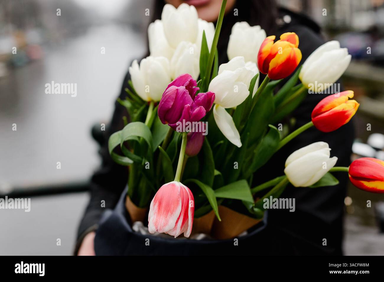 Gros plan d'un bouquet de tulipes coloré au-dessus du canal d'Amsterdam Banque D'Images