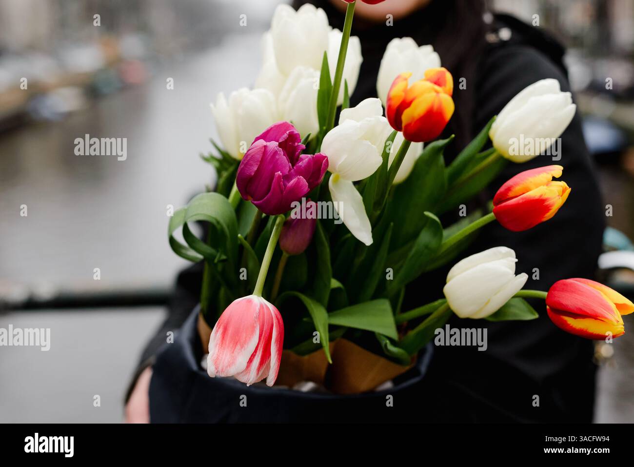 Bouquet de tulipes vibrant en gros plan avec fond de canal d'Amsterdam Banque D'Images