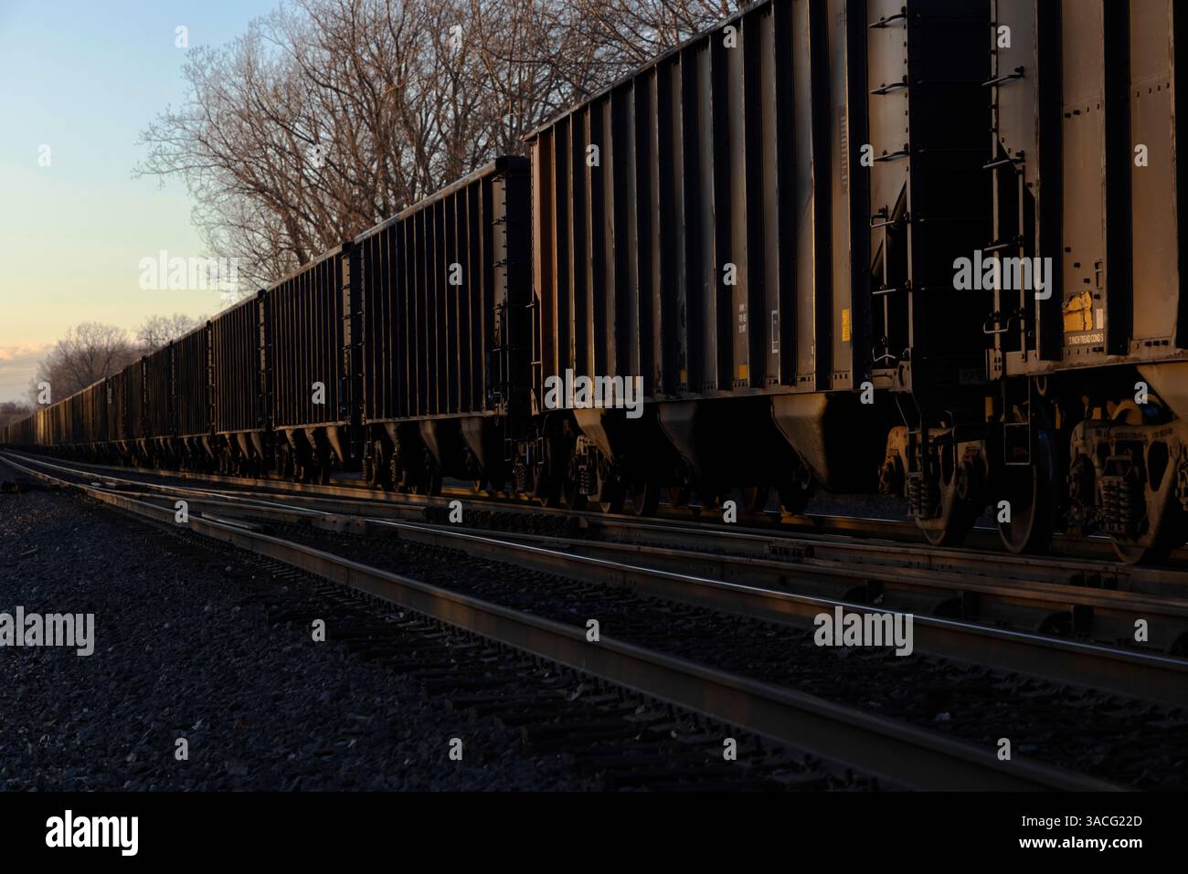 Rangée de trémies de train dans la lumière de fin d'après-midi Banque D'Images