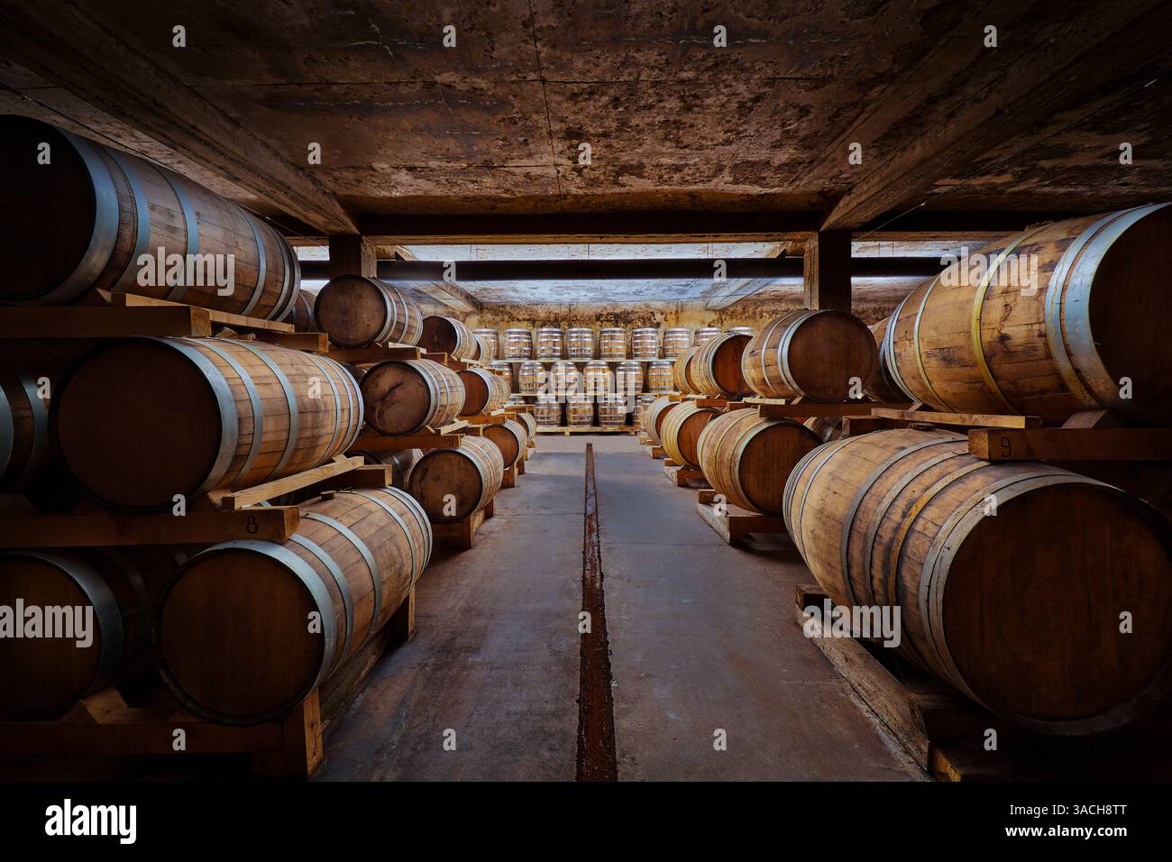 Un regard intérieur sur une salle de tonneaux traditionnelle présentant des rangées de tonneaux en bois reposant dans un cadre rustique, parfait pour vieillir des vins fins ou des spiritueux Banque D'Images