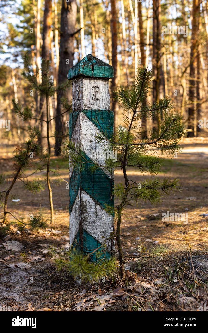 Un point de repère magnifiquement altéré : le poteau vertical avec un design unique entouré par la nature dans un cadre de forêt de pins Banque D'Images