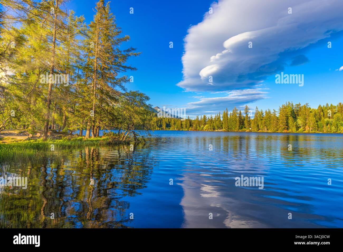 Lac de montagne en été. superbe paysage naturel extérieur. Forêt de pins avec de grands arbres sur le rivage reflétant dans l'eau claire. nuages de ciel bleu profond Banque D'Images