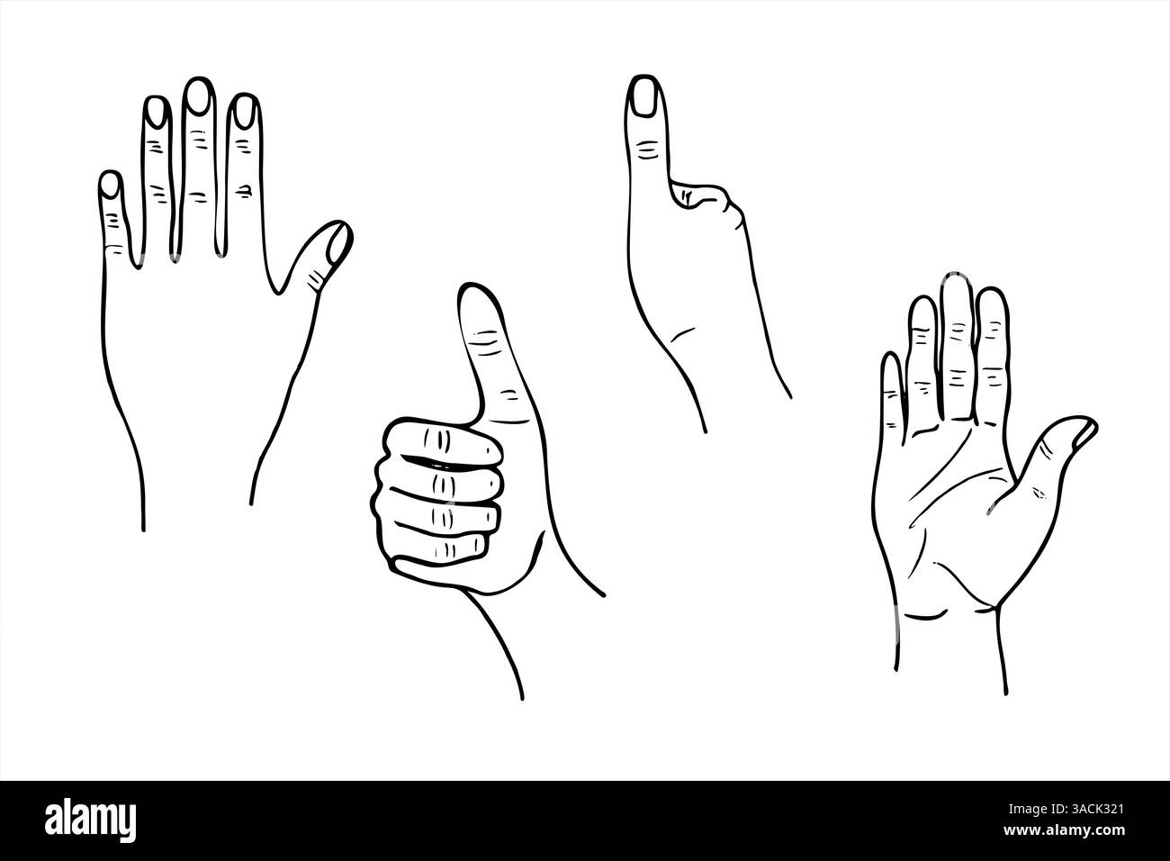 Vecteur monochrome main humaine simple illustration d'art au trait ensemble peint par des encres noires. Paume et vue arrière de la main, doigt donnant les pouces vers le haut. Illustration de Vecteur