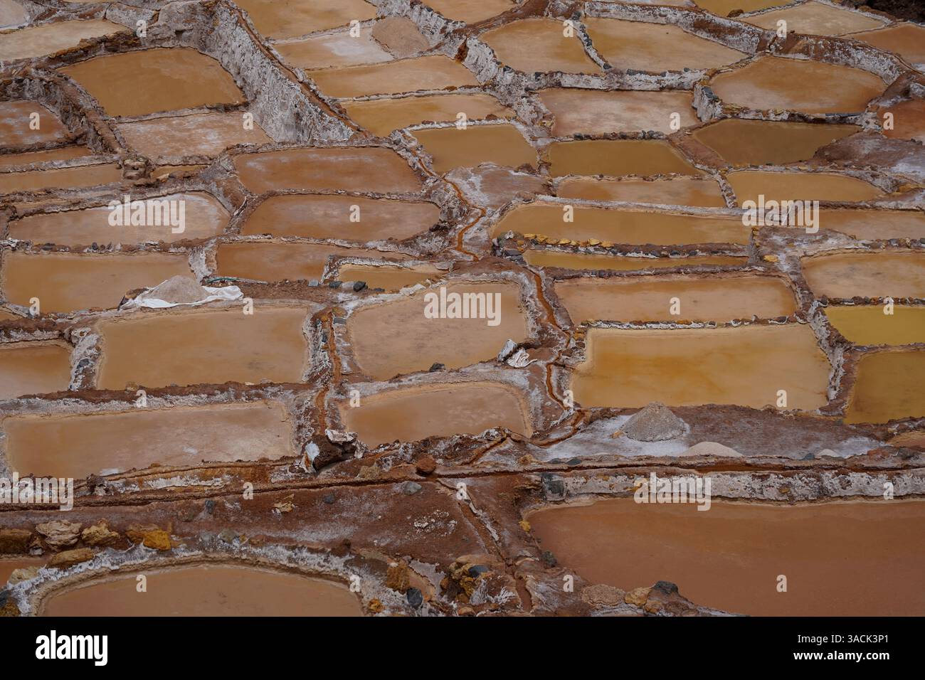 Gros plan des terrasses de sel de Maras, vallée sacrée, Pérou Banque D'Images