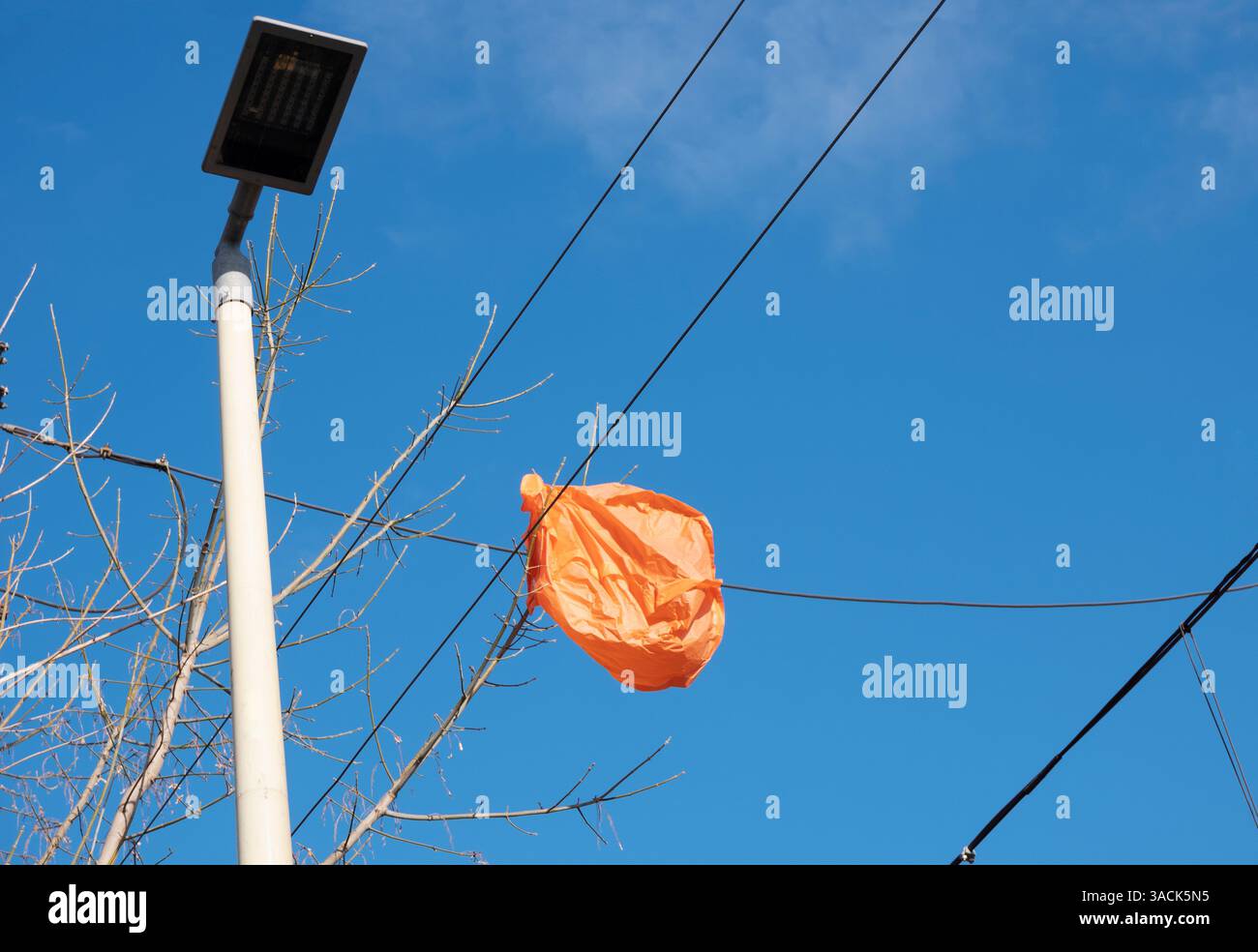 sac de transport en plastique coincé dans les câbles électriques et le lampadaire Banque D'Images