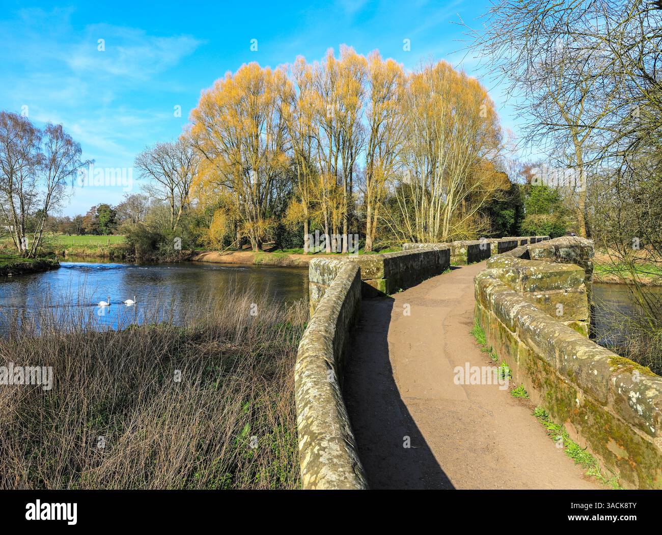 Pont d'Essex est une passerelle à cheval sur la rivière Trent près de Great Haywood, dans le Staffordshire, Angleterre Banque D'Images