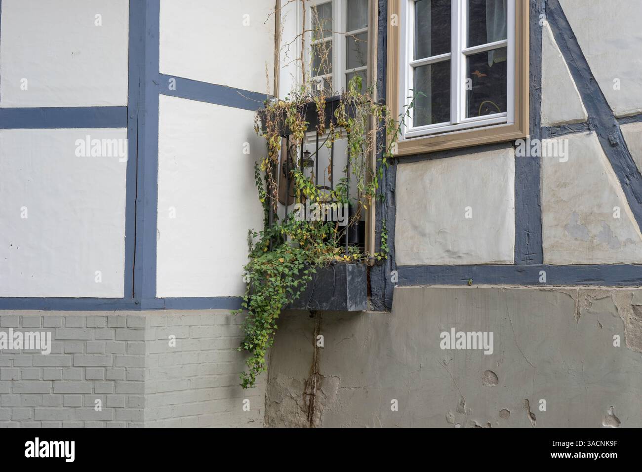 Détail d'une maison à colombages avec jardinière et plantes de balcon, Banque D'Images