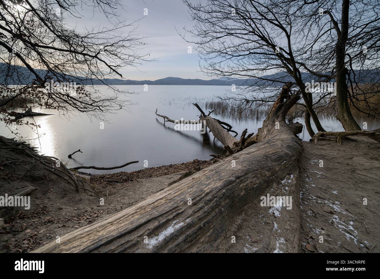 Image panoramique du lac Laacher pendant les heures du matin, Eifel, Rhénanie-Palatinat, Allemagne Banque D'Images