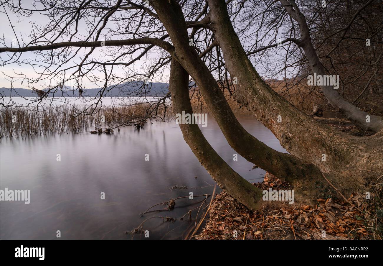 Image panoramique du lac Laacher pendant les heures du matin, Eifel, Rhénanie-Palatinat, Allemagne Banque D'Images