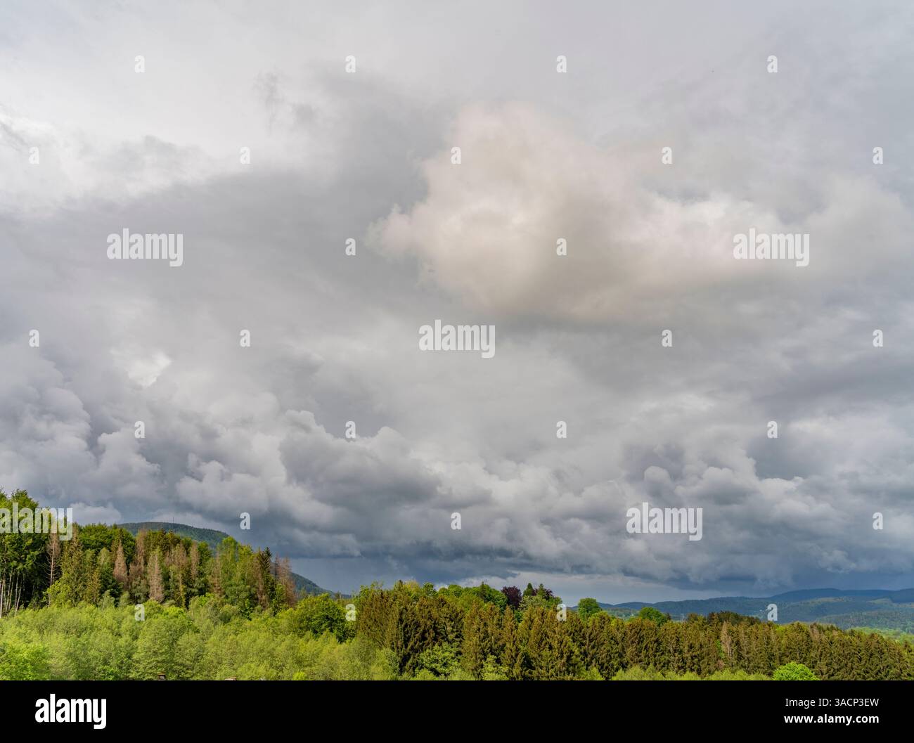Paysages autour de Saulxures, commune du département du Bas-Rhin à Grand est dans le nord-est de la France Banque D'Images