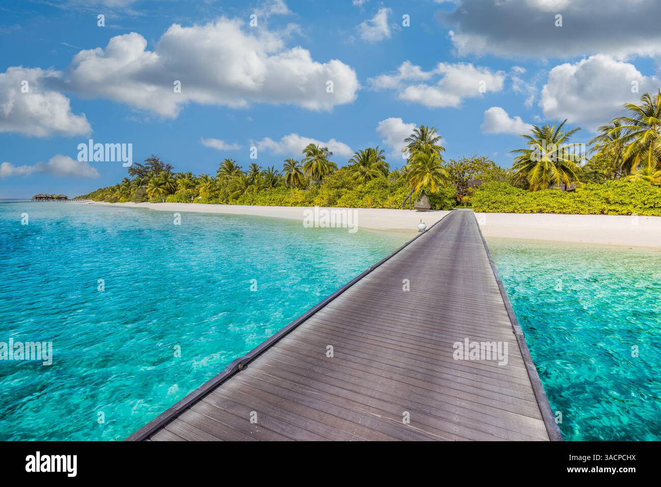 Hôtel de luxe avec villas aquatiques et feuilles de palmier sur sable blanc, près de la mer bleue, paysage marin. Chaises de plage lits avec parasols blancs. Vacances d'été Banque D'Images