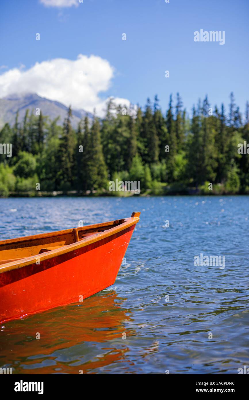 Bateau tranquille flottant lac serein, entouré de pins, reflétant sur les eaux calmes ciel clair solitude paisible, paysage touristique d'été idyllique Banque D'Images