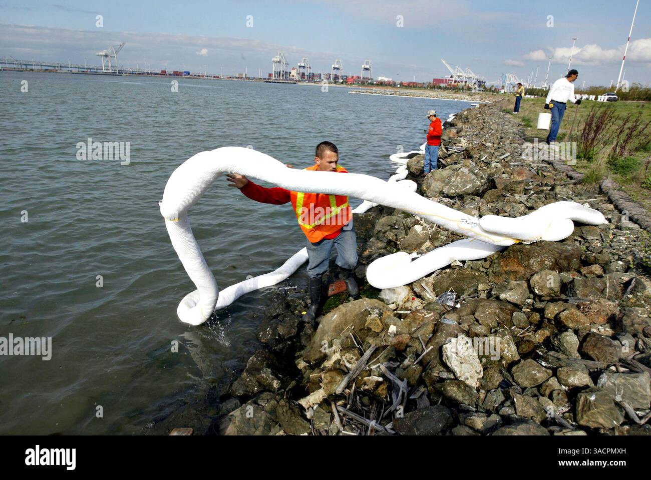 9 novembre 2007 - Oakland, Californie, États-Unis - Micahel Jermanon, de Dillard Enviromental services, place des barrages absorbants au Middle Harbor Shoreline Park à Oakland, Calif., vendredi 9 novembre 2007. La faune est touchée par le déversement d’hydrocarbures du cargo COSCO Busan qui a frappé l’une des tours du Bay Bridge le mercredi 7 novembre 2007. (Crédit image : © Ray Chavez/The Oakland Tribune/ZUMA Press) Banque D'Images