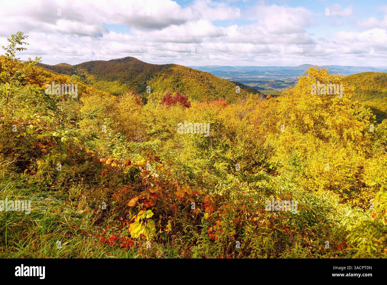 Vue sur les Blue Ridge Mountains depuis View Irish Creek Valley sur Blue Ridge Parkway, Virginie, États-Unis Banque D'Images