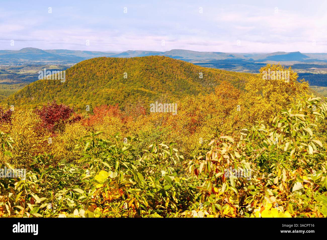 Vue sur les Blue Ridge Mountains depuis View Irish Creek Valley sur Blue Ridge Parkway, Virginie, États-Unis Banque D'Images