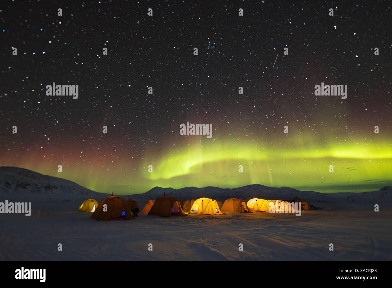 Aurora Borealis, aurores boréales, au-dessus d'un camp de tentes sur la glace, île de Baffin, Nunavut, Canada Banque D'Images