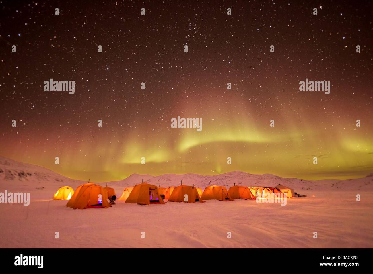Aurora Borealis, aurores boréales, au-dessus d'un camp de tentes sur la glace, île de Baffin, Nunavut, Canada Banque D'Images