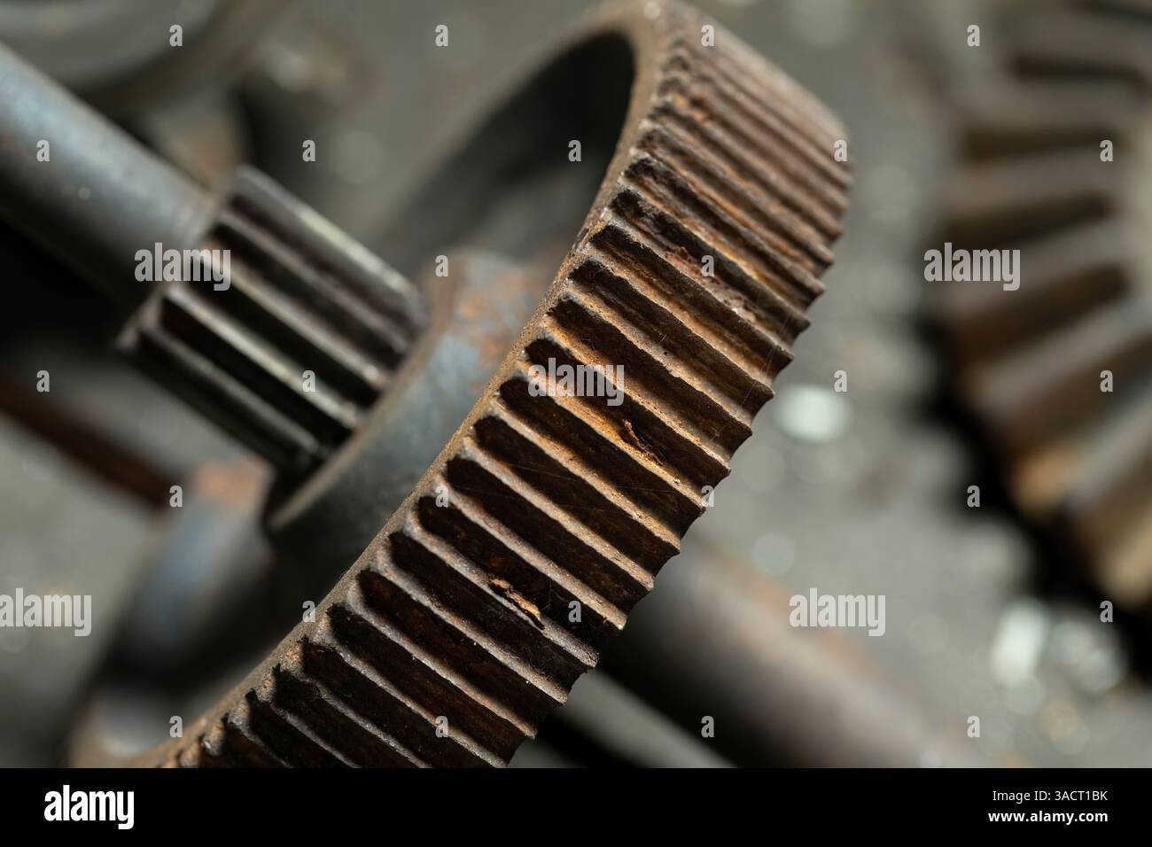 Roue dentée usée avec faible profondeur de champ Banque D'Images