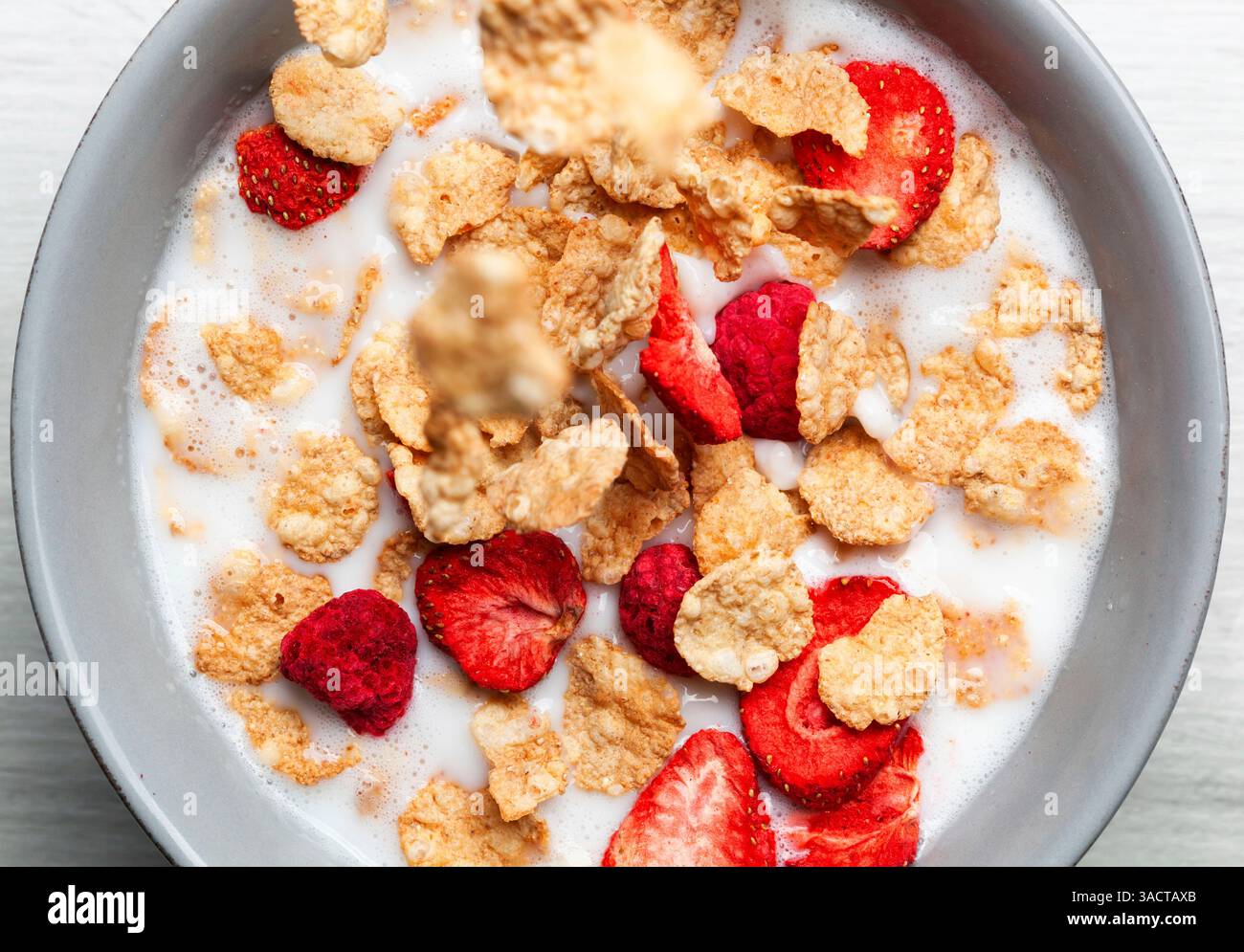 Les cornflakes et les baies lyophilisées qui tombent en cascade dans un bol de lait créent un petit-déjeuner vibrant et nutritif, offrant un délicieux début de journée tout en favorisant des habitudes alimentaires saines Banque D'Images