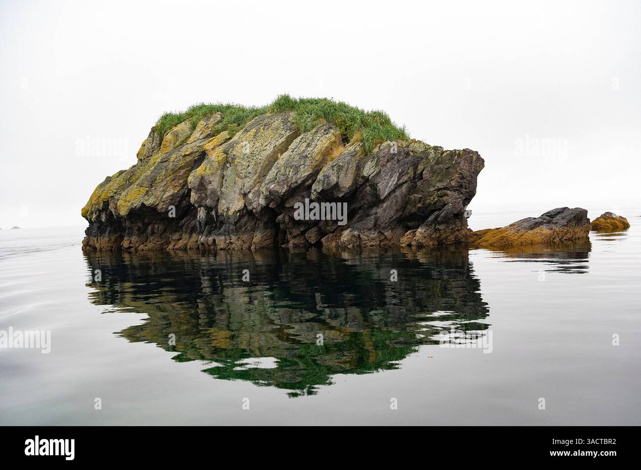 Bird Island - Îles Aléoutiennes Banque D'Images