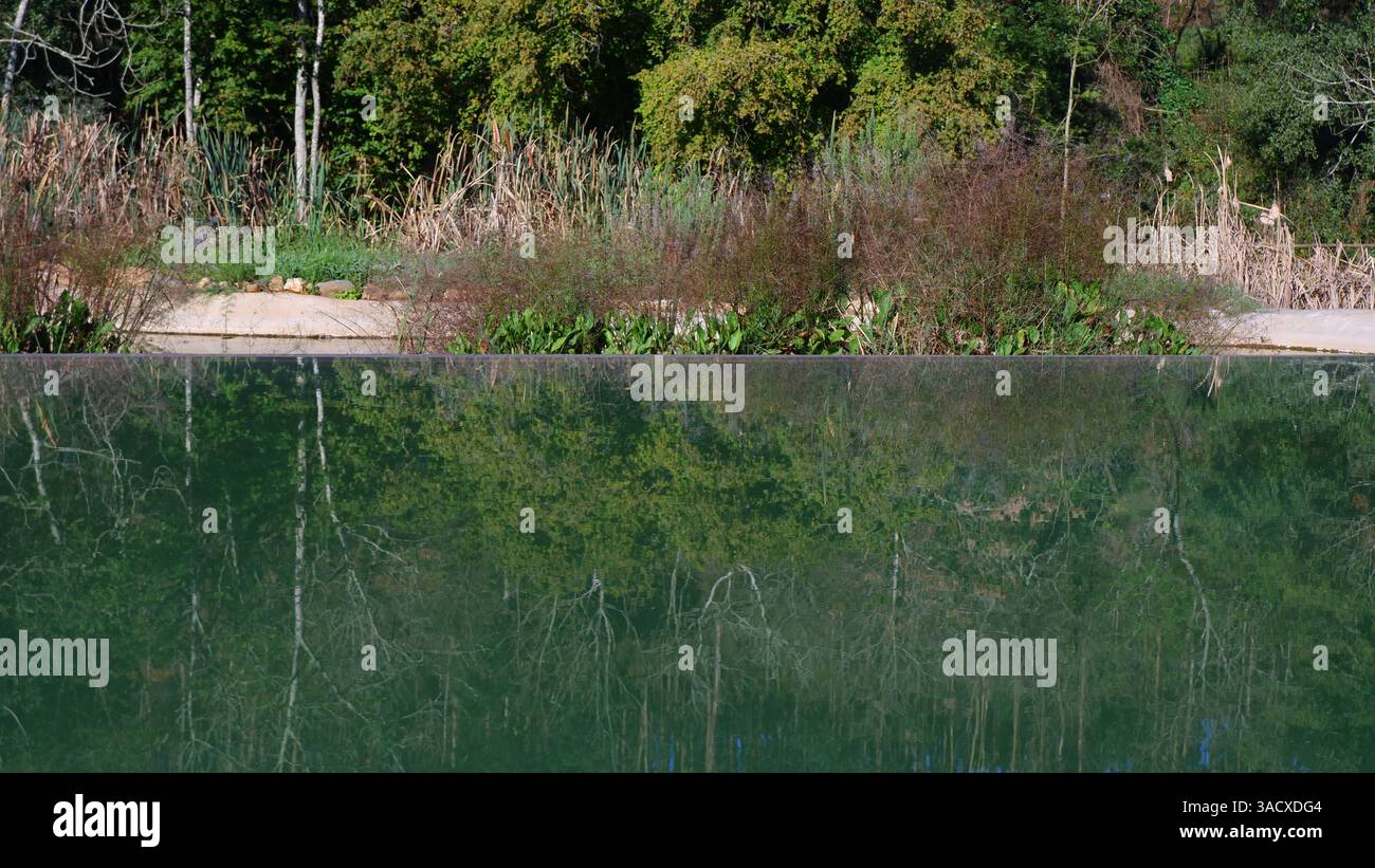 Piscine miroir Banque D'Images