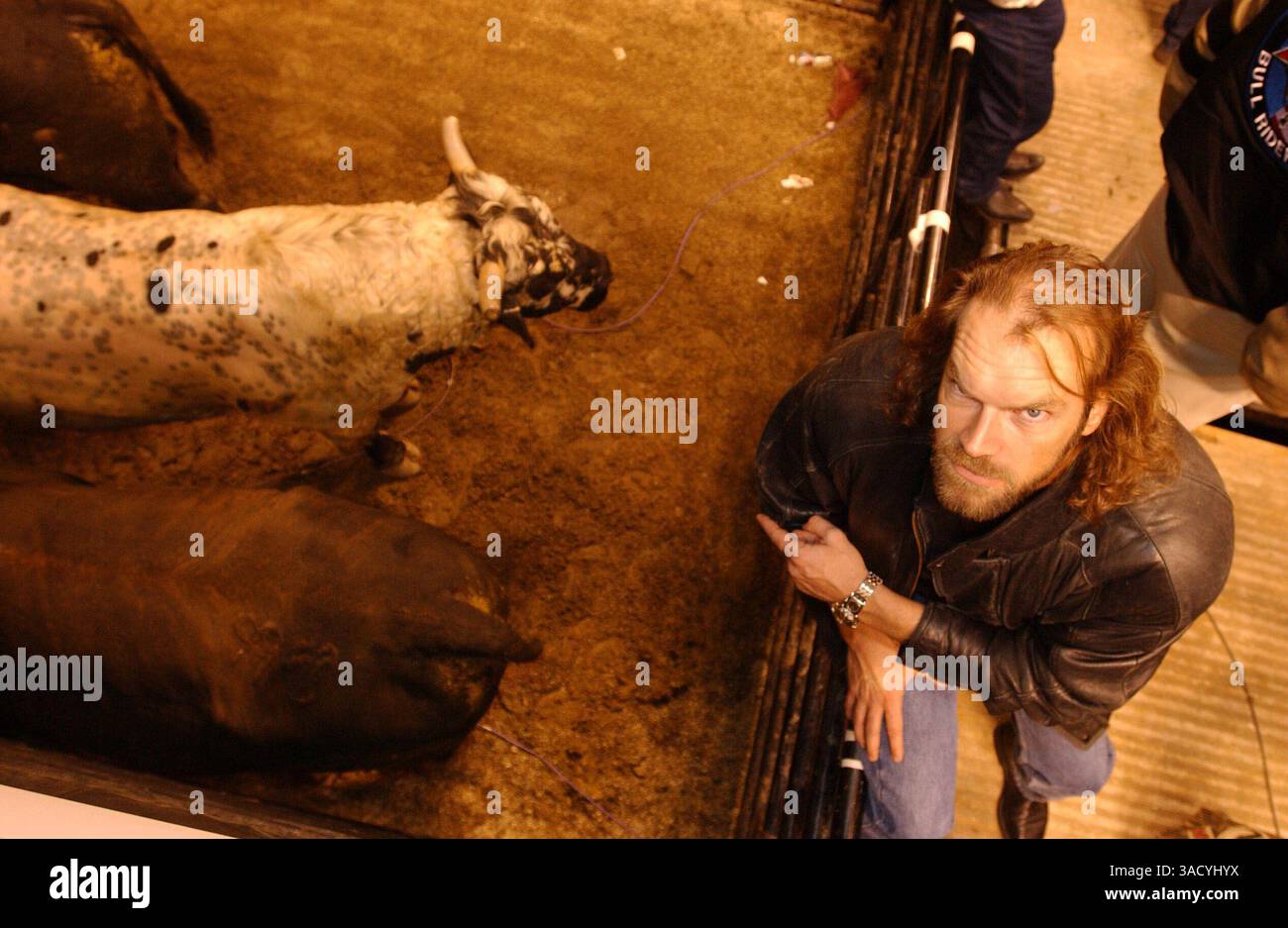 15 février 2003 ; Anaheim, CALIFORNIE, États-Unis ; hier soir au Professional Bull Riders Celebrity Evening à l'Arrowhead Pond à Anaheim : l'acteur TYLER MANE de X-Man Fame (également Scorpion King) ne prend aucun taureau à côté des chutes où les cavaliers montent leurs bêtes.. (Crédit image : Michael Jacobs/ZUMAPRESS.com) Banque D'Images