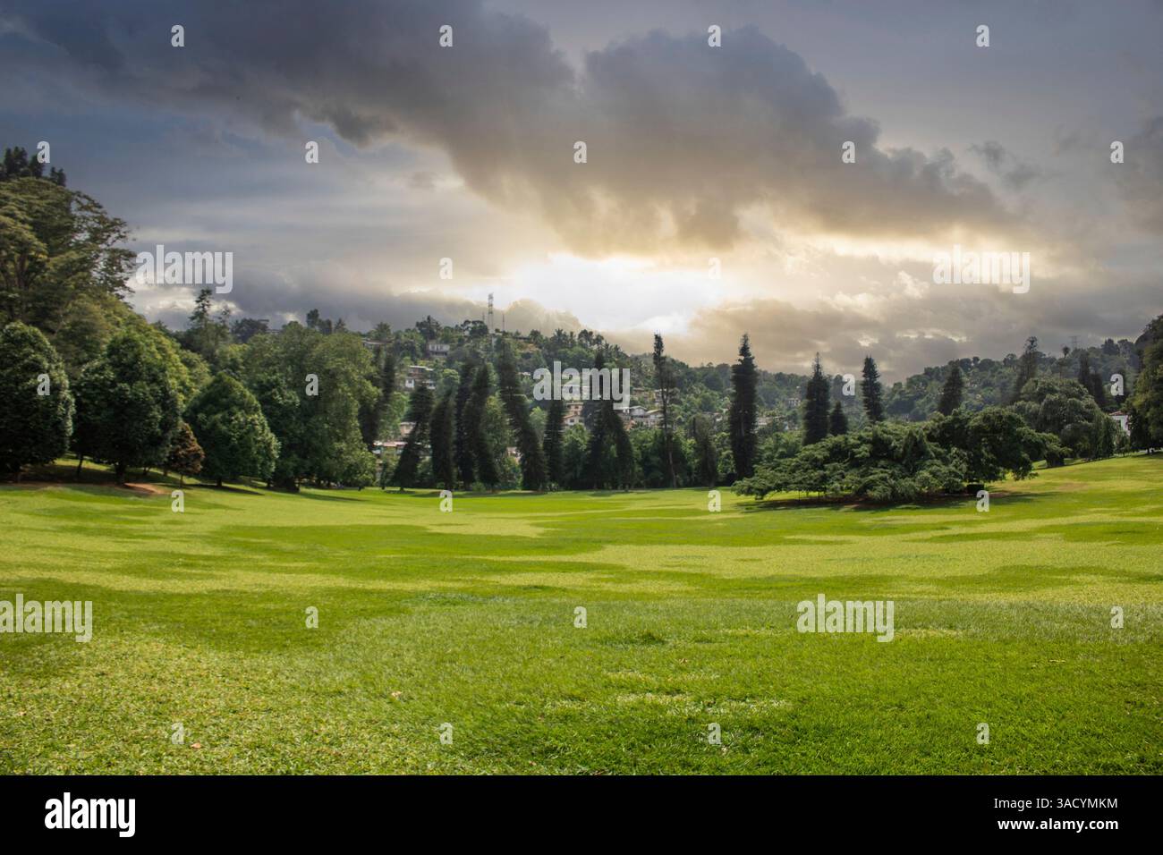 Jardin botanique. Paysage photographié dans un parc. Beaux espaces paysagers et nature tropicale dans les jardins botaniques royaux Peradeniya près de Kandy, Sri Lanka, Nuwara Eliya, Sri Lanka Banque D'Images