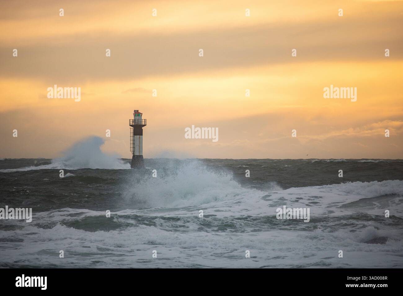 Un phare dans une tempête, mer sauvage le soir, coucher de soleil sur une côte avec de nombreux rochers dans la mer du Nord. Paysage marin en Suède, Scandinavie, Europe Banque D'Images