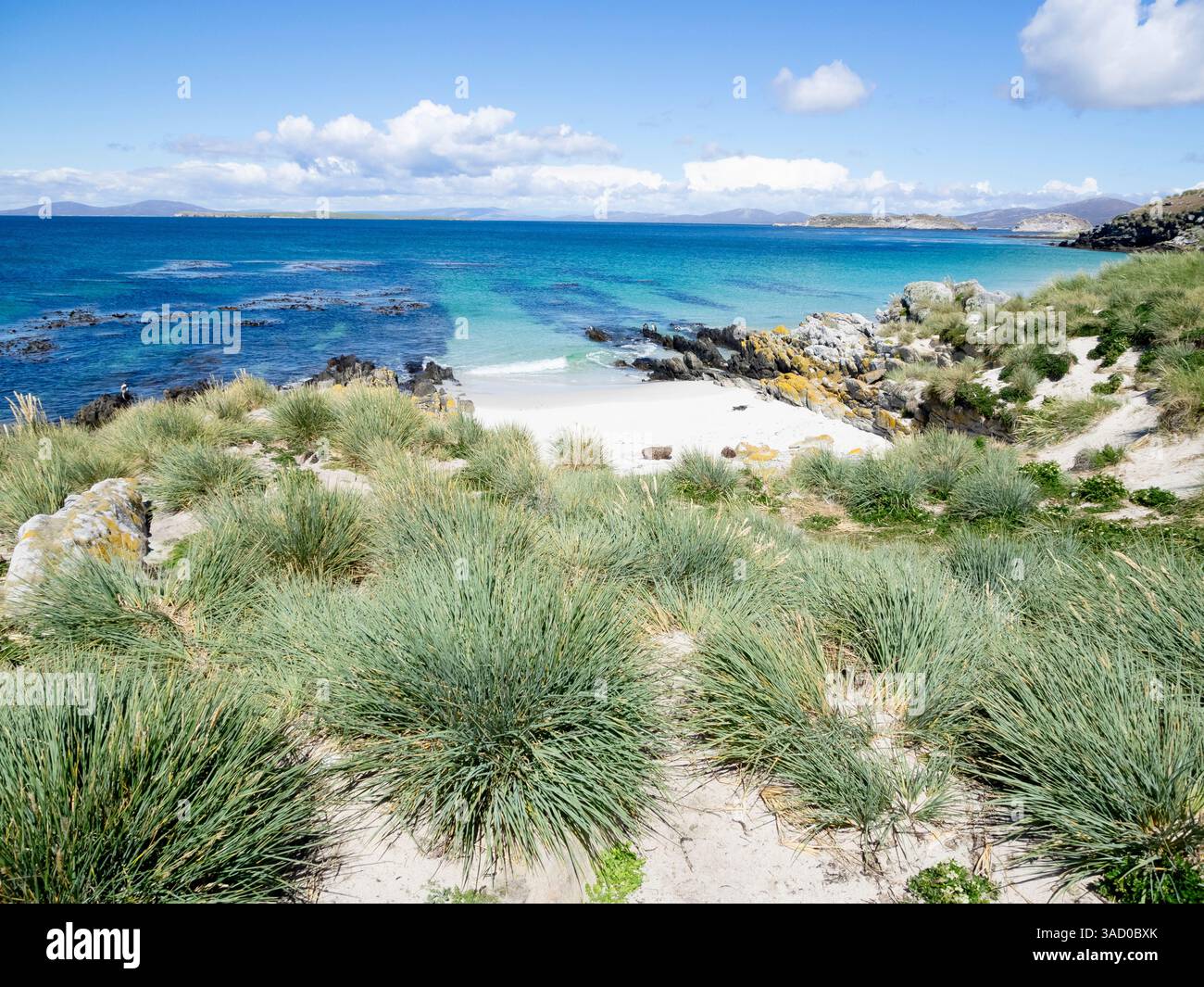 Îles Malouines, île Carcass. Des rochers et de l'herbe à tussock ainsi que des morceaux de sable blanc bordent le lagon. Banque D'Images