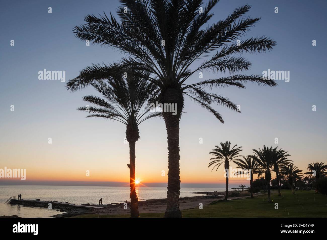 Chypre, Paphos, palmiers en bord de mer au coucher du soleil Banque D'Images