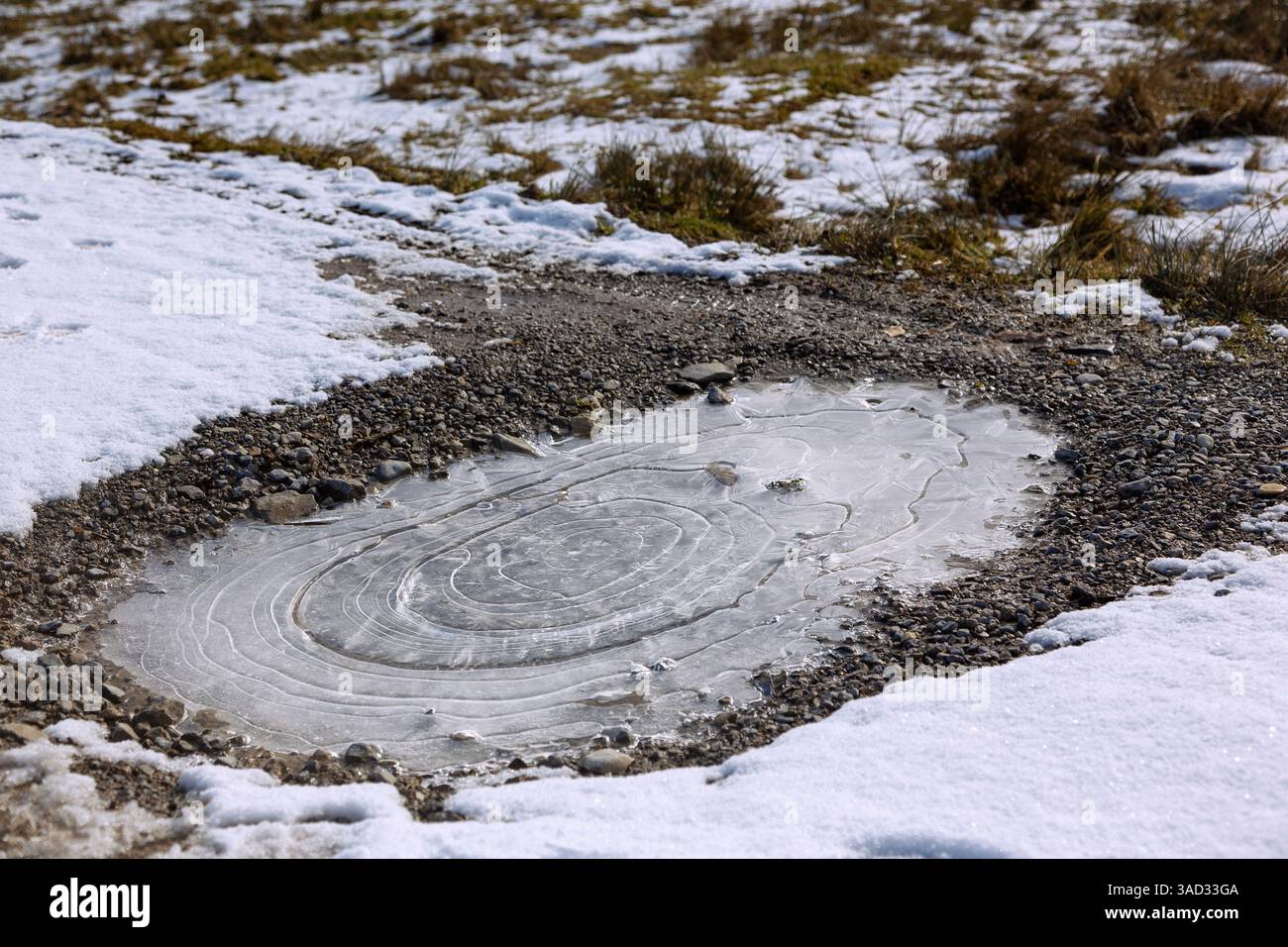 Flaque d'eau congelée avec motif circulaire en haute-Bavière, Allemagne Banque D'Images