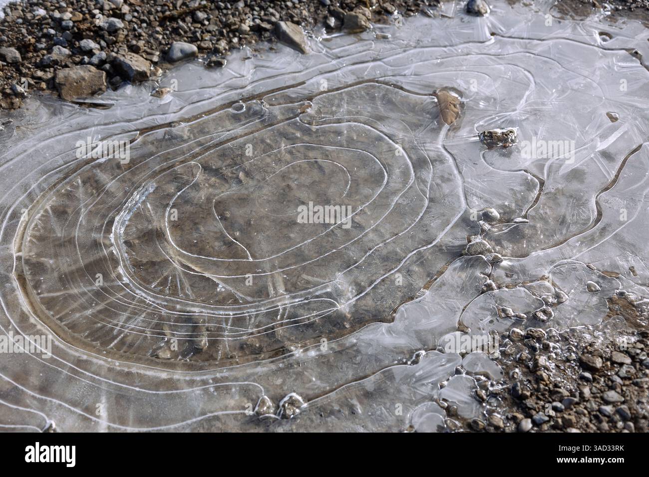 Flaque d'eau congelée avec motif circulaire en haute-Bavière, Allemagne Banque D'Images