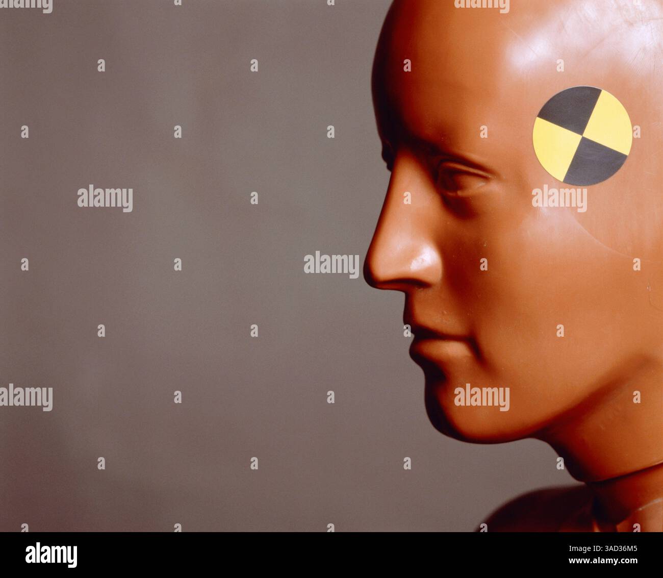 Crash Test Dummy Banque D'Images