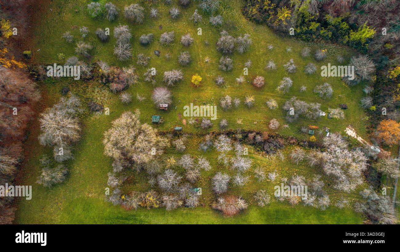 Prairie de verger d'hiver près de Markt Berolzheim, image de drone Banque D'Images