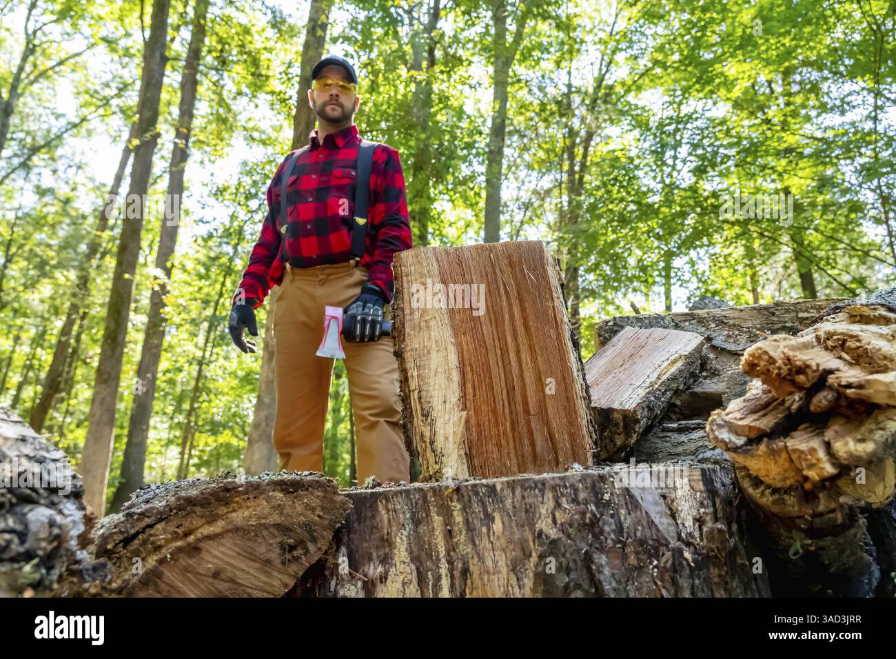 Un jeune homme robuste brandit une hache, coupant habilement du bois sur sa propriété. Il nettoie la terre tout en préparant un approvisionnement hivernal vital, en retournant les efforts Banque D'Images