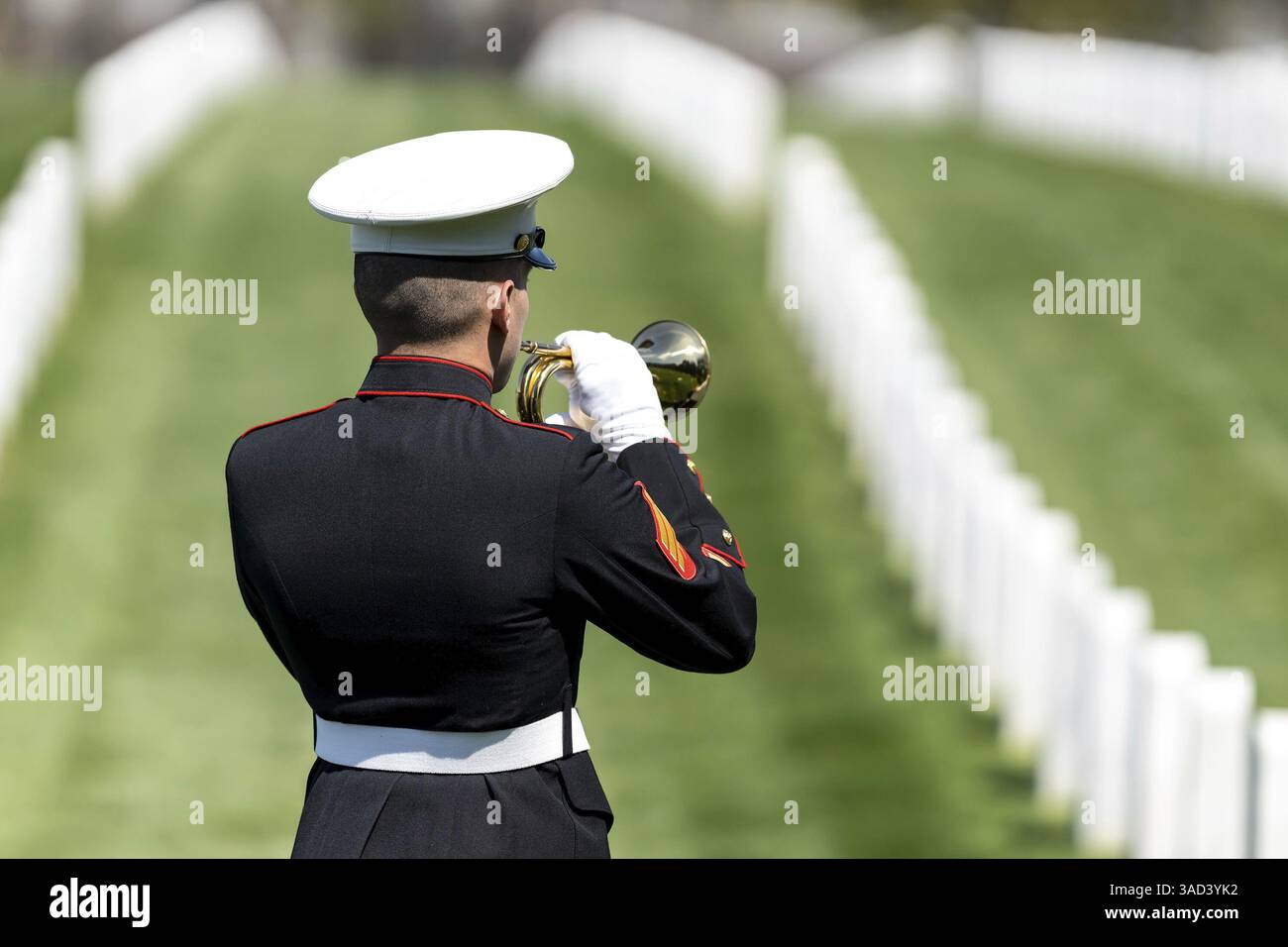 Un moment poignant se déroule alors qu'un Marine joue des robinets, honorant un vétéran déchu par un salut solennel, marquant son internement dans un ceme militaire national Banque D'Images Un moment poignant se déroule alors qu'un Marine joue des robinets, honorant un vétéran déchu par un salut solennel, marquant son internement dans un ceme militaire national Banque D'Images