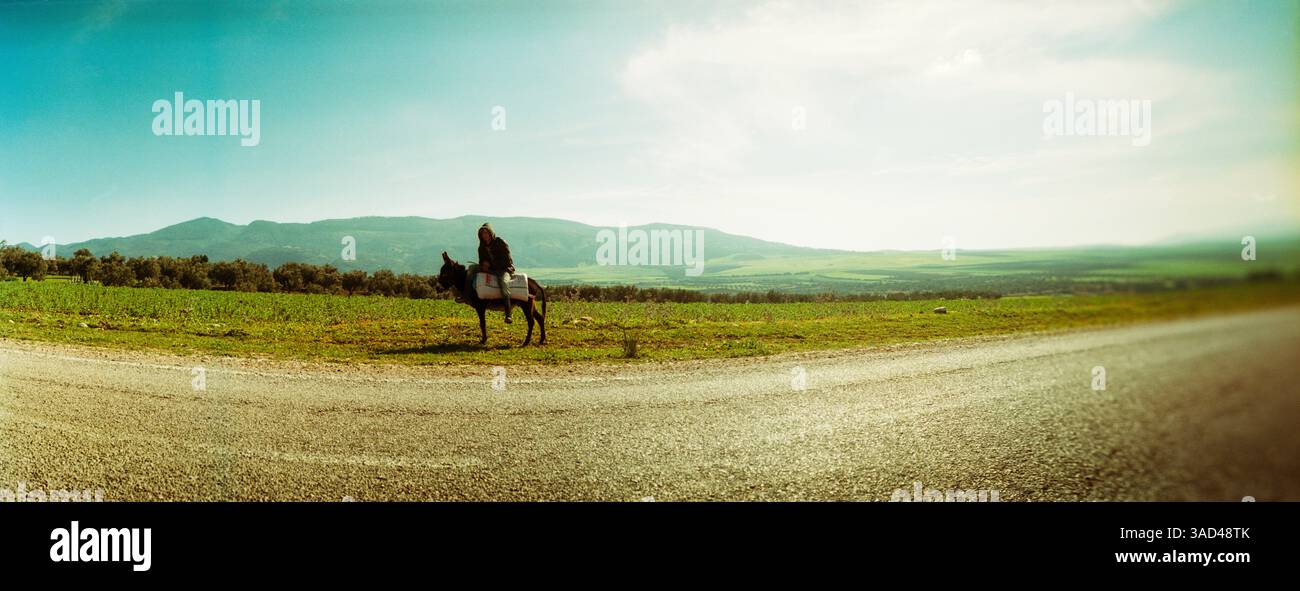 Vue panoramique de l'homme assis sur un cheval à l'extérieur de Moulay Idriss, Maroc Banque D'Images