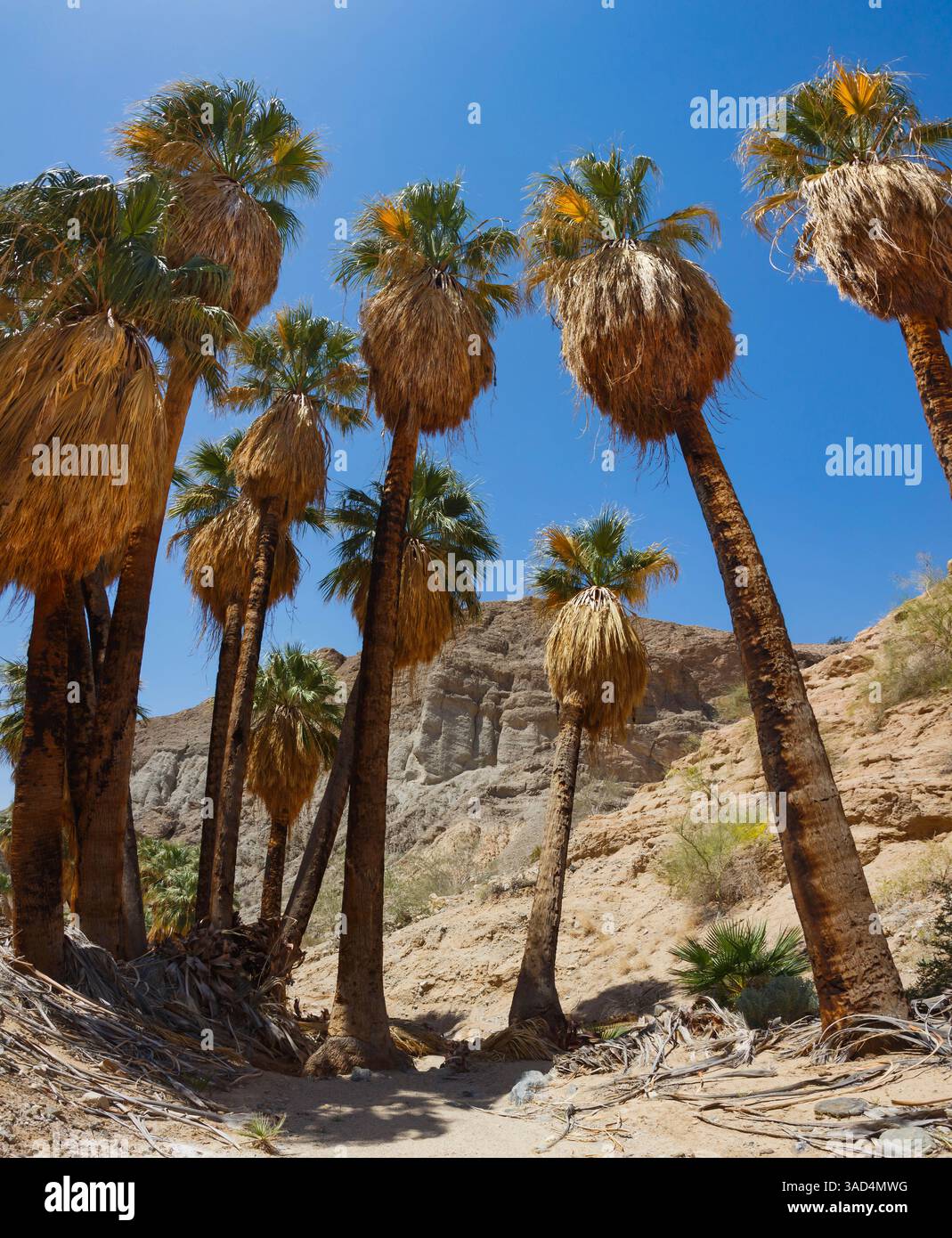 La Mecque Badlands, Californie Banque D'Images