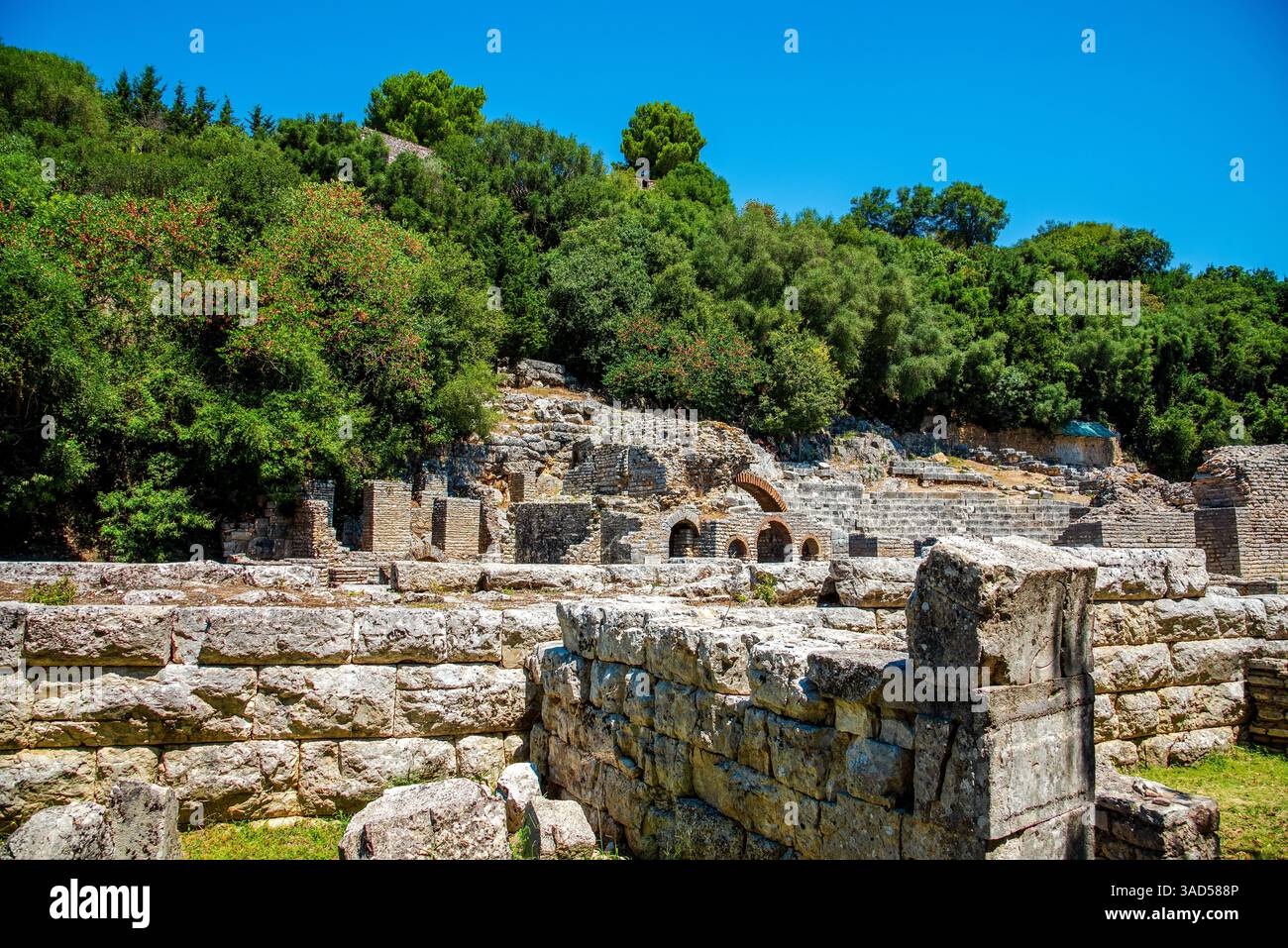 Les anciens murs de pierre de Butrint, en Albanie, s'élèvent au milieu d'un feuillage verdoyant, révélant un site classé au patrimoine de l'UNESCO aux influences grecques et romaines Banque D'Images