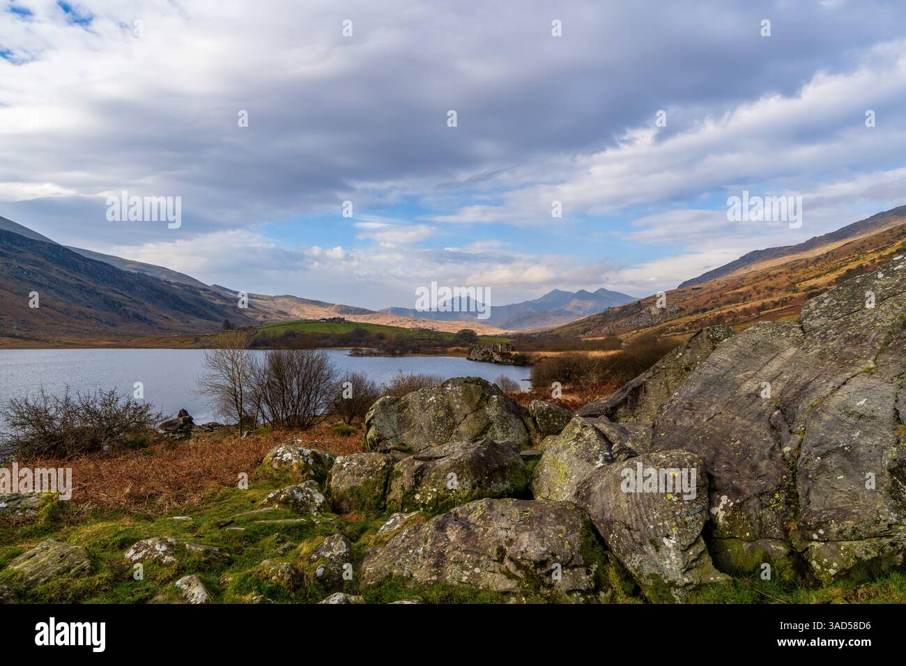Encadré par des branches d’hiver et de grands Boulders, le Llyn Gwynant met en valeur les pics accidentés de Snowdonia, offrant un panorama par excellence des montagnes galloises Banque D'Images