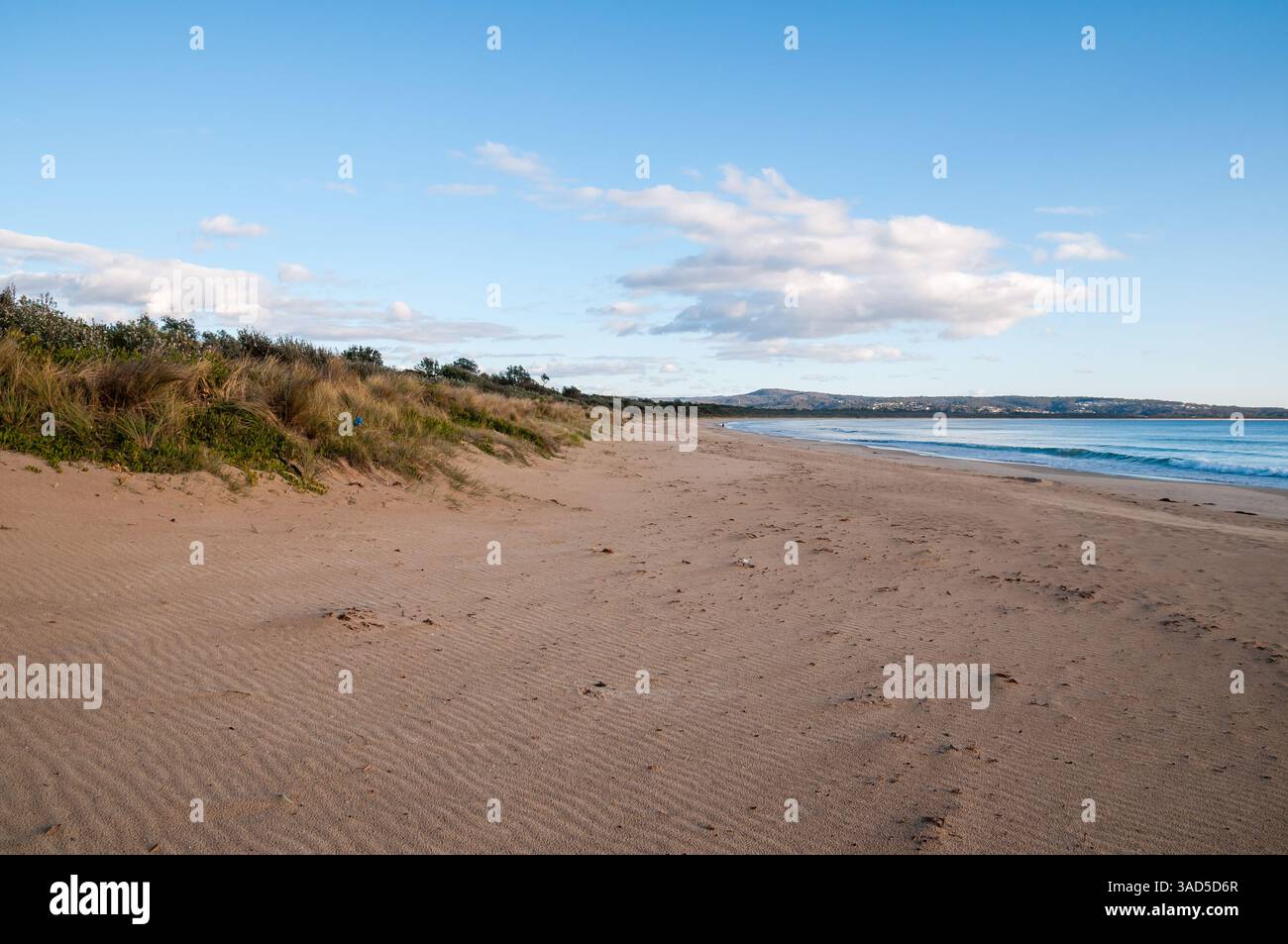 Plage de sable ide avec dunes et végétation côtière, vagues calmes, collines lointaines sous ciel bleu, plage de Pambula, Australie Banque D'Images