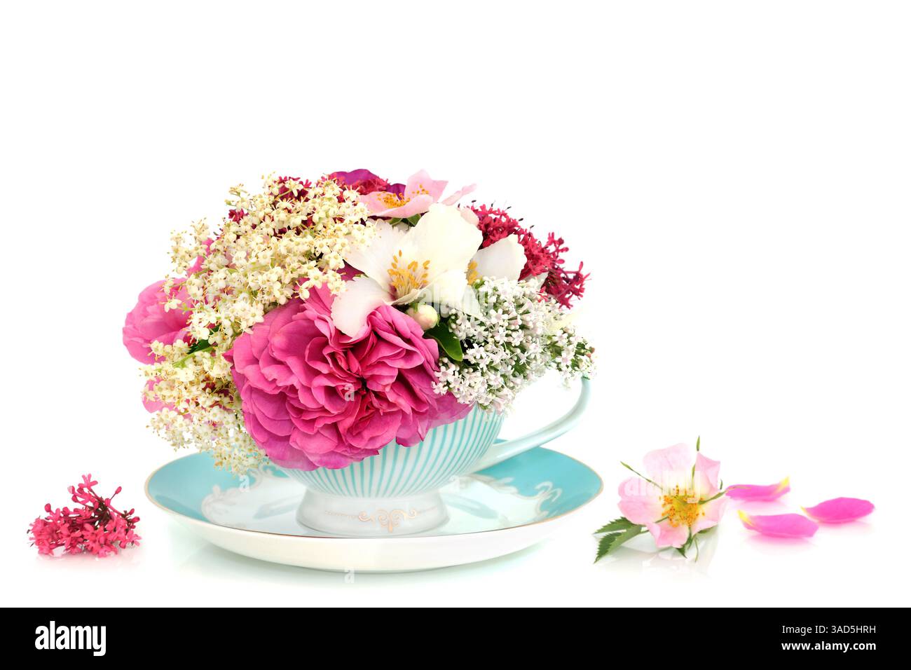 Arrangement de fleurs d'été surréaliste dans une tasse de thé sur fond blanc avec des pétales. Phytothérapie alternative naturelle pour les soins de santé naturels. Banque D'Images
