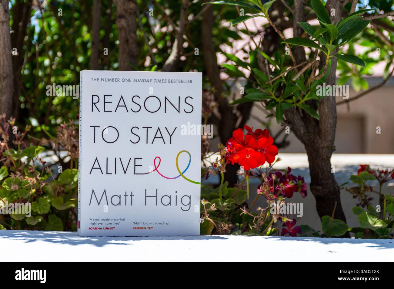 Gros plan du roman raisons de rester en vie de Matt Haig dans le jardin. Banque D'Images