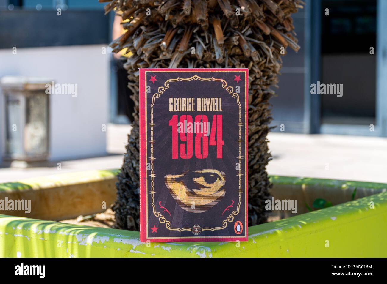 Gros plan du roman de George Orwell de 1984 dans le jardin. Banque D'Images