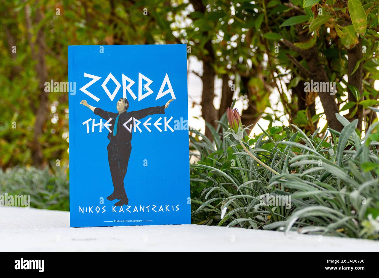 Gros plan de Zorba, roman grec de Nikos Kazantzakis dans le jardin. Banque D'Images