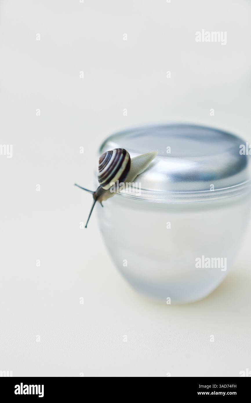 crème de soin de la peau avec gel de soin de la peau d'escargot dans le pot en verre gros plan. Macro de texture de produit de traitement de beauté avec bouteille en verre Banque D'Images