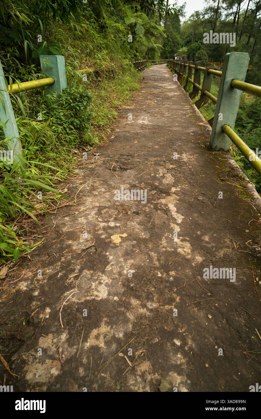vieux pont au milieu de la forêt tropicale humide en asie, format vertical ou histoire Banque D'Images
