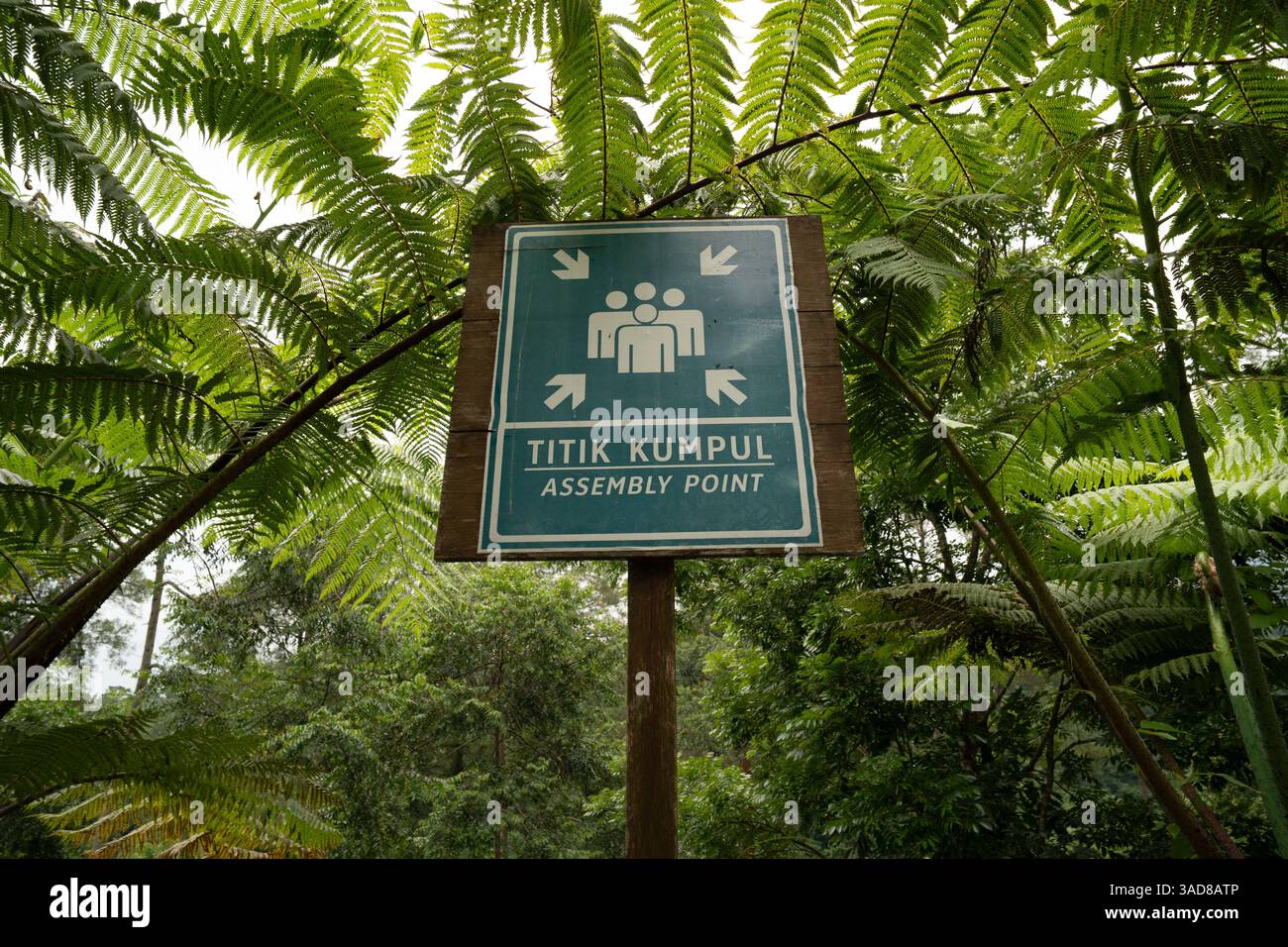 signe de point de rassemblement dans une forêt luxuriante, entouré de verdure vibrante, pour l'exploration en plein air et la communauté dans la nature Banque D'Images
