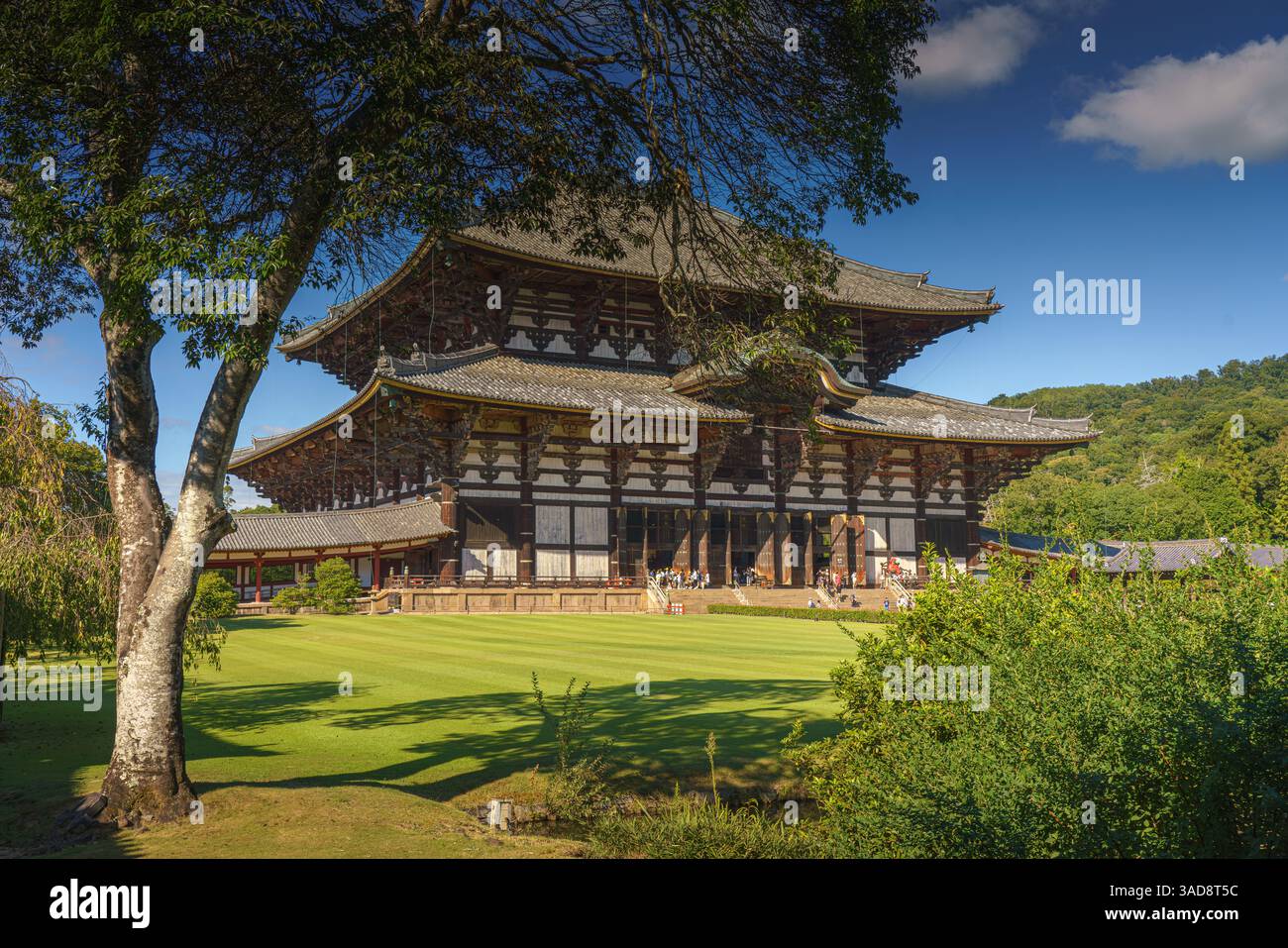 Nara, Japon - septembre 26 2024, vue panoramique du temple Todaiji avec pelouse et arbres au premier plan, en journée avec ciel bleu clair, Nara, Japon Banque D'Images