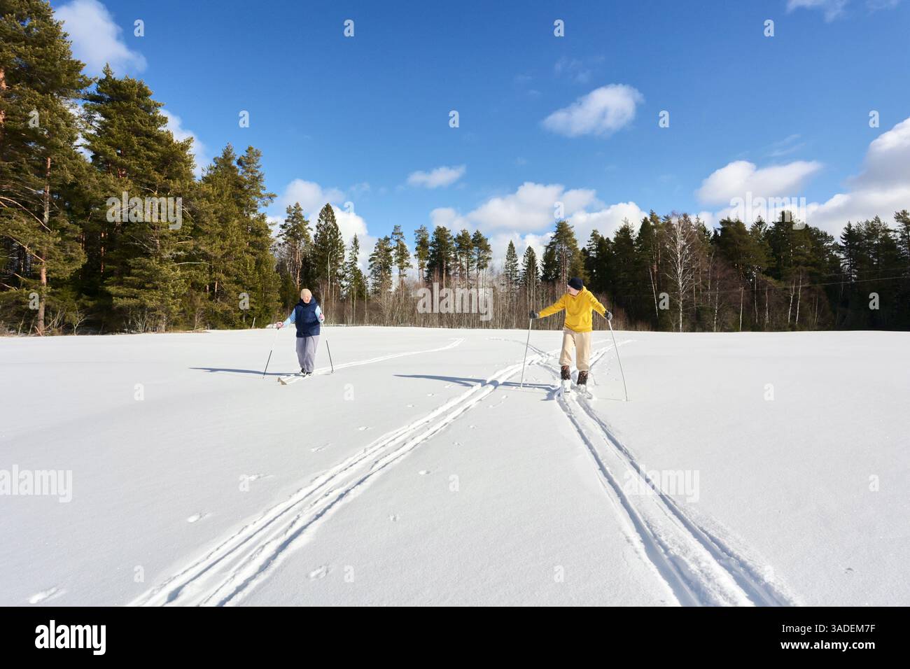 Deux personnes aiment les sorties hivernales, skier côte à côte dans un champ enneigé, créant des pistes parallèles alors qu'ils naviguent vers des forêts lointaines Banque D'Images